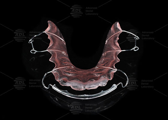 Retainer Hawley Stainless Steel dan Akrilik Laboratorium Gigi Cina untuk Perawatan Ortodontik